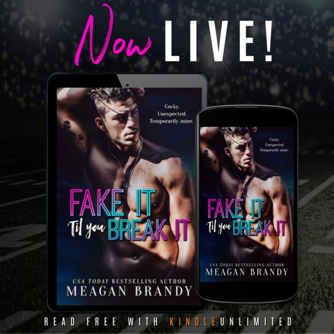 Fake It Til You Break It by #MeaganBrandyAuthor [Release Blitz]