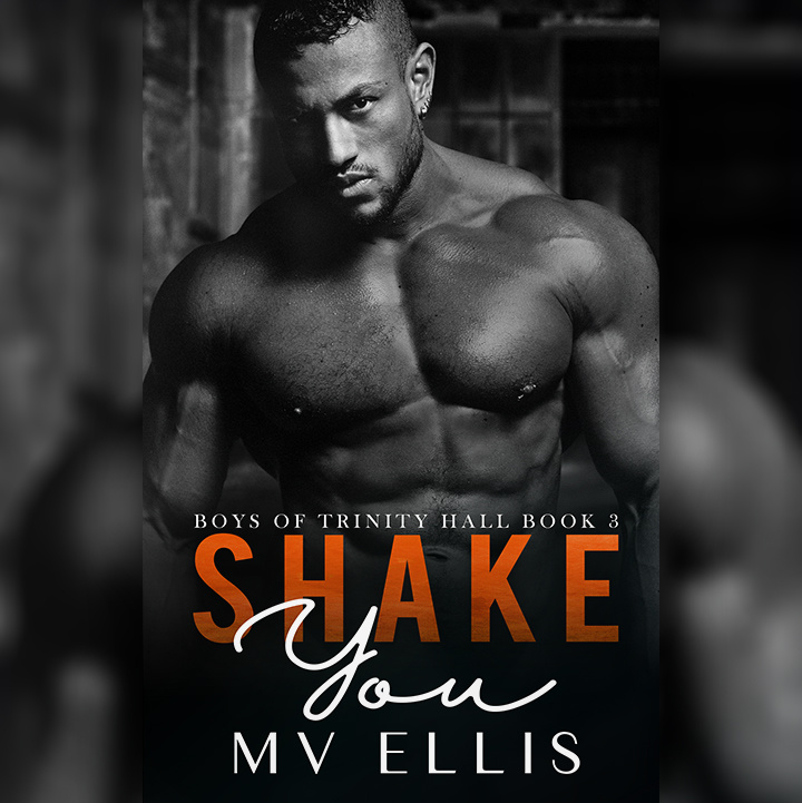 Shake You by #MVEllis [Release Blitz]
