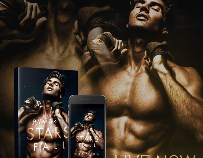 When the Stars Fall by #EmeryRose [Release Blitz]